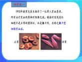 浙科版高中生物必修二：基因突变可能引起性状改变课件+学案+教案