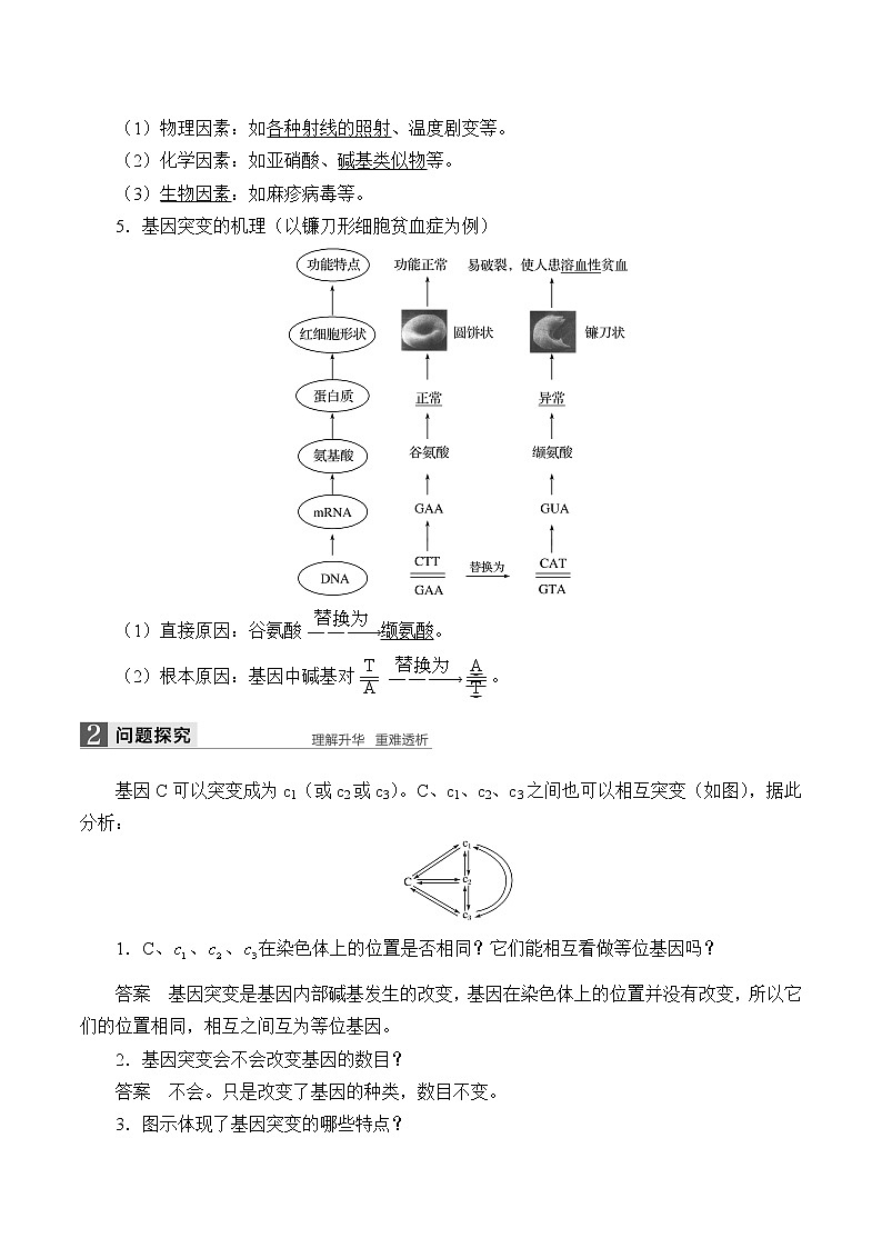 浙科版高中生物必修二：基因突变可能引起性状改变课件+学案+教案02