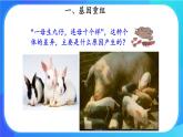 浙科版高中生物必修二：基因重组使子代出现变异课件+学案+教案