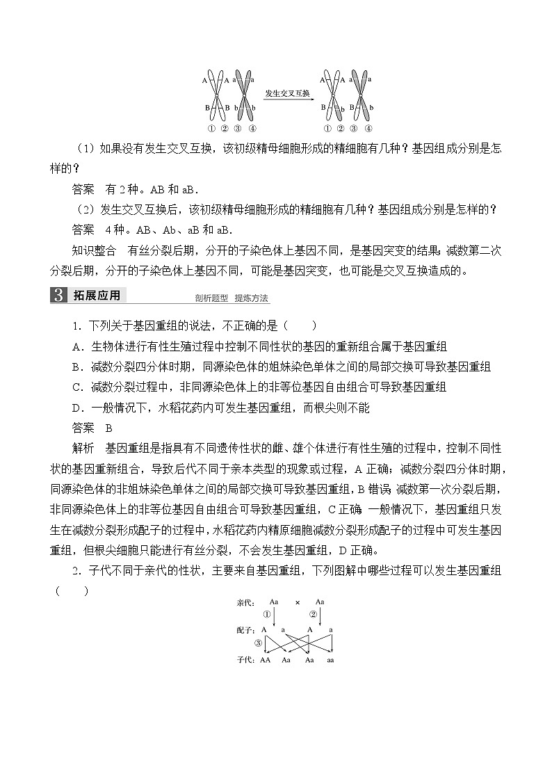浙科版高中生物必修二：基因重组使子代出现变异课件+学案+教案03