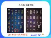浙科版高中生物必修二：染色体畸变可能引起性状改变课件+学案+教案