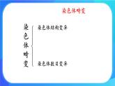 浙科版高中生物必修二：染色体畸变可能引起性状改变课件+学案+教案