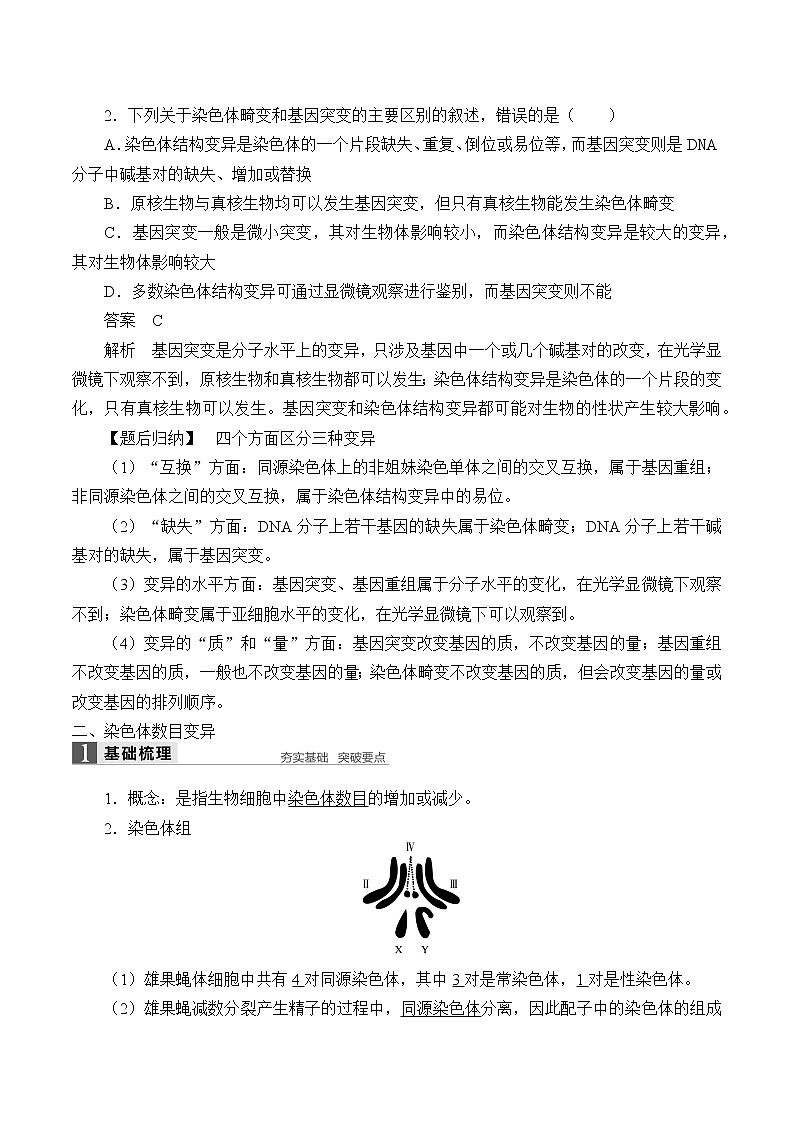 (学案)染色体畸变可能引起性状改变第3页