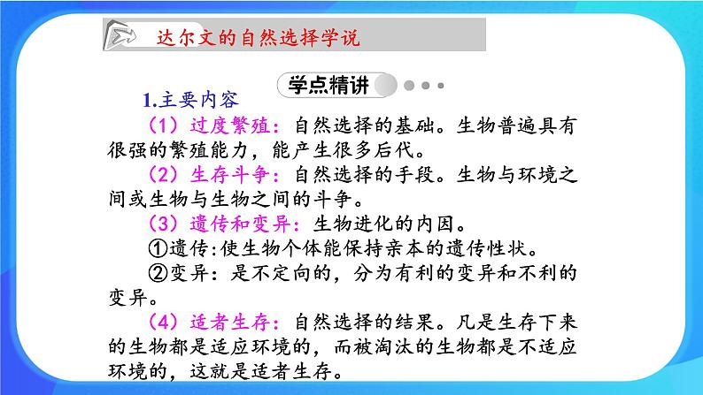 浙科版高中生物必修二：适应是自然选择的结果课件+学案+教案02