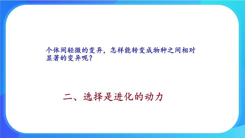 浙科版高中生物必修二：适应是自然选择的结果课件+学案+教案05