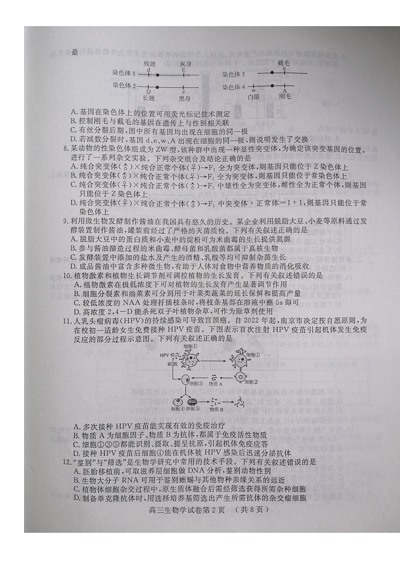 2023年南京市盐城市高三二模生物试题含答案解析02