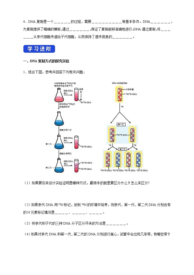 高中生物第二册 3 3 DNA的复制 导学案遗传与进化第2页