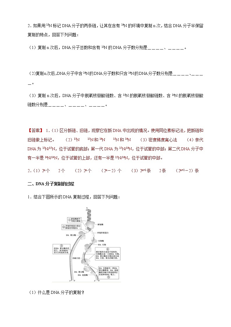 高中生物第二册 3 3 DNA的复制 导学案遗传与进化第3页