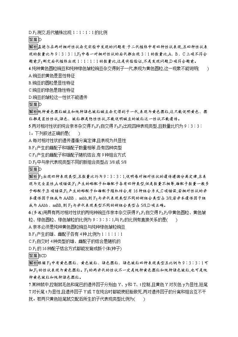 第2节　第1课时　孟德尔两对相对性状杂交实验过程及解释 试卷02