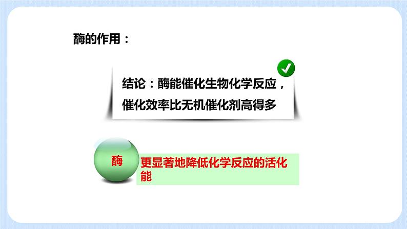 4.2酶是细胞生化反应的催化剂（课时2） 课件第5页