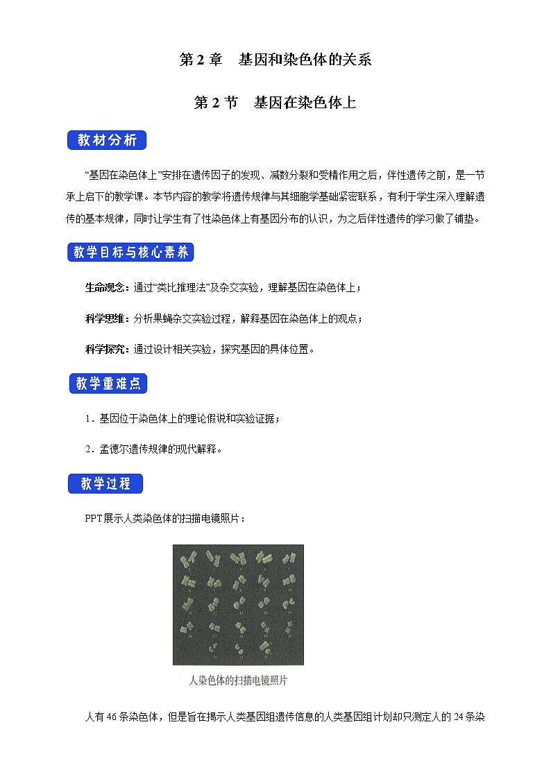 高中生物第二册 2 2 基因在染色体上 教学设计遗传与进化01