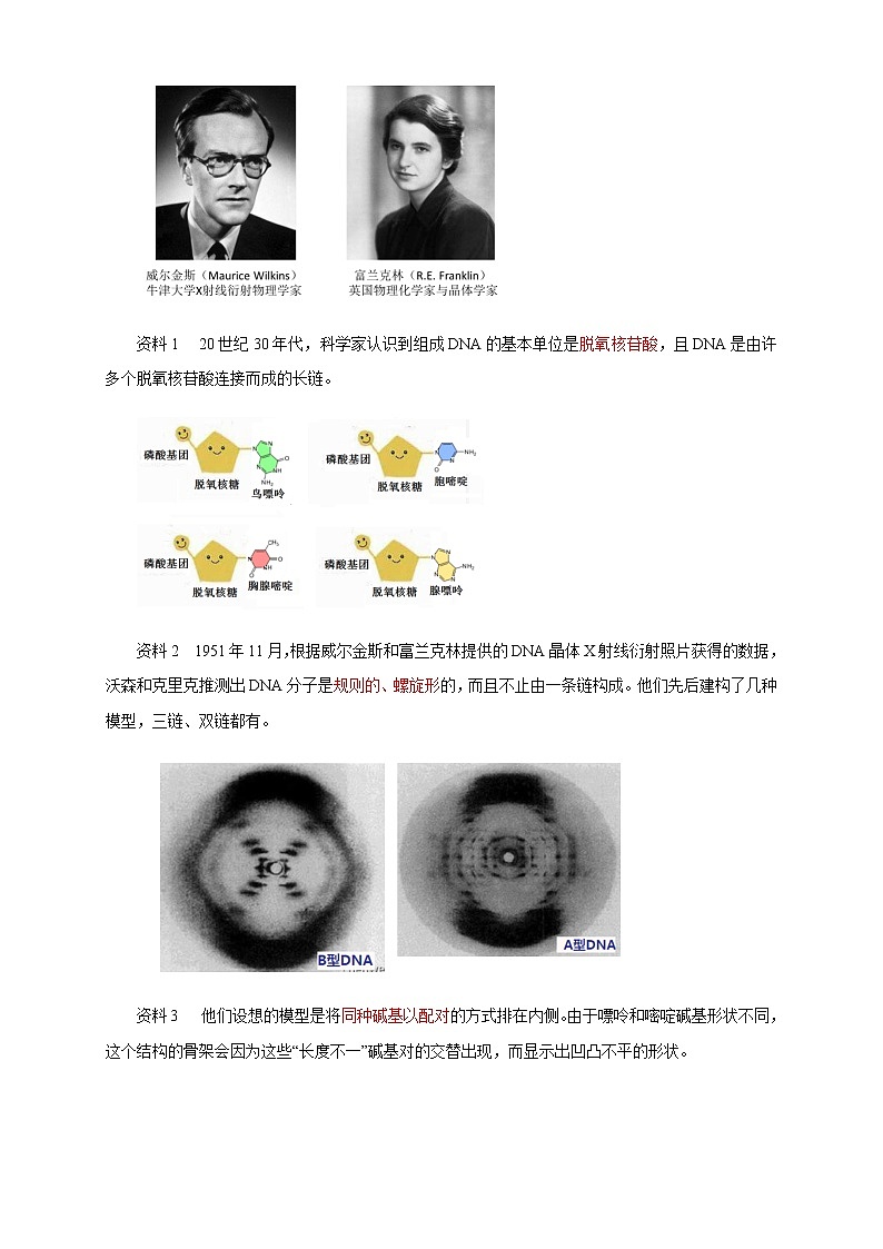高中生物第二册 3 2 DNA的结构 教学设计（　-遗传与进化第3页