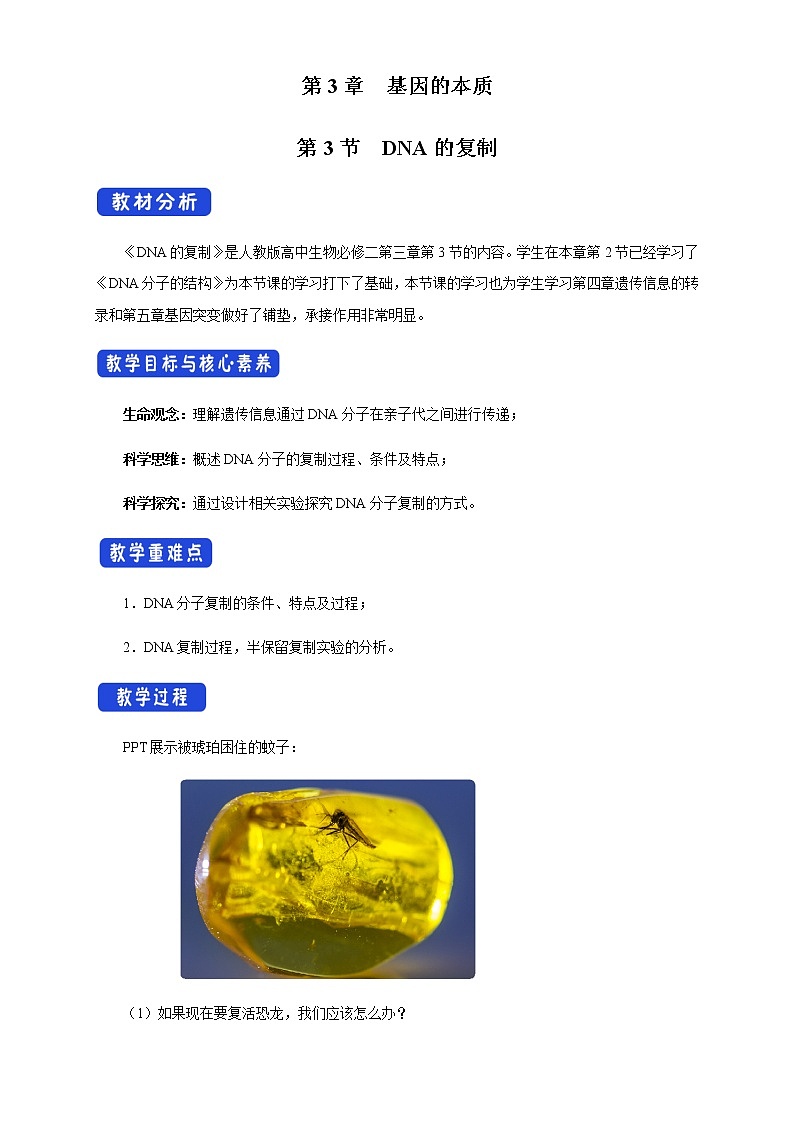 高中生物第二册 3 3 DNA的复制 教学设计遗传与进化01