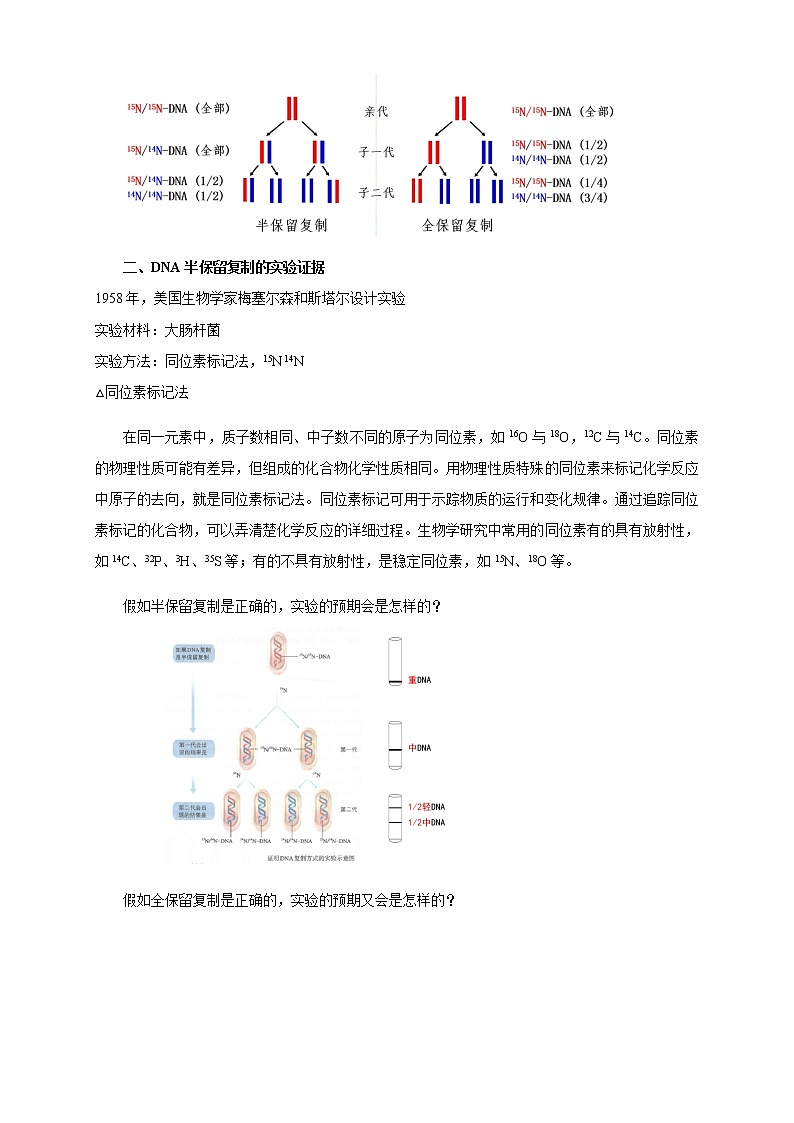 高中生物第二册 3 3 DNA的复制 教学设计遗传与进化03