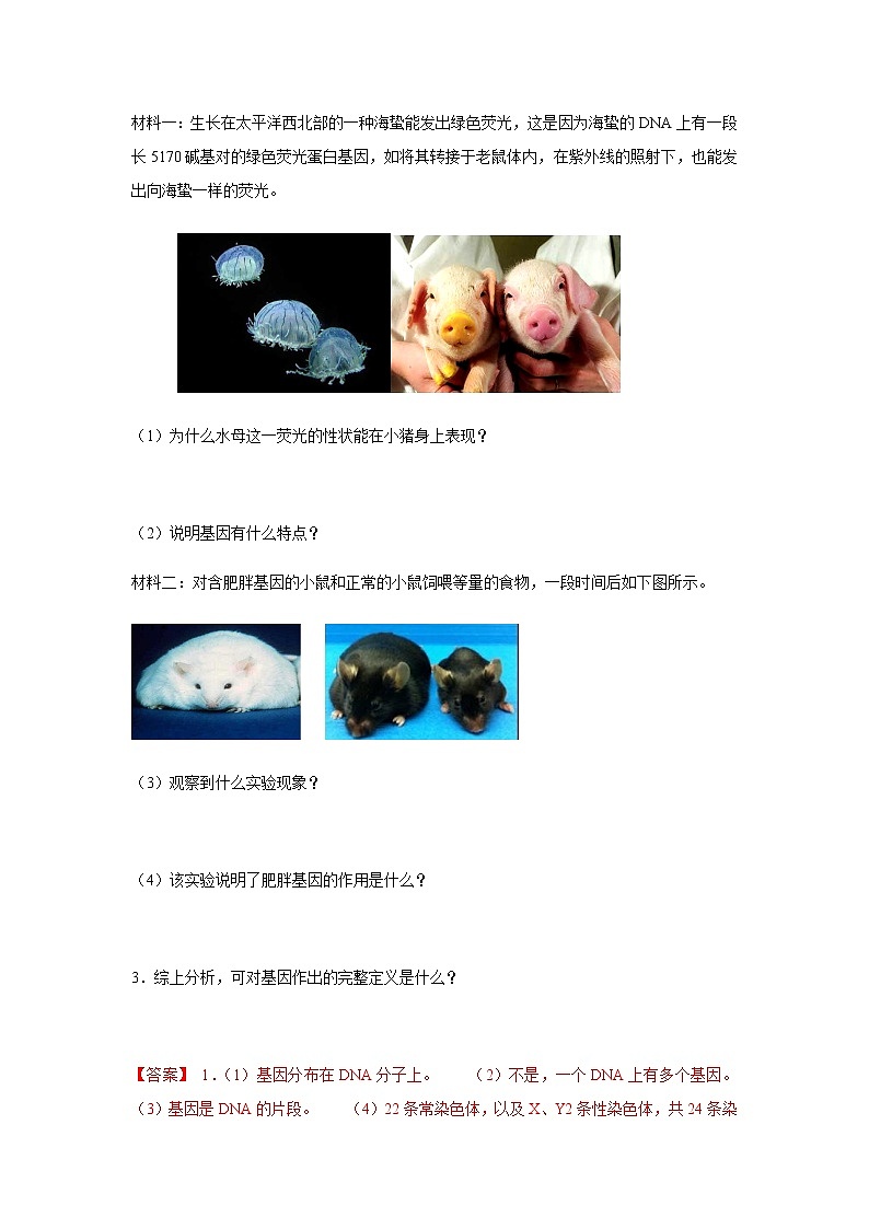 高中生物第二册 3 4 基因通常是有遗传效应的DNA片段 导学案遗传与进化第3页