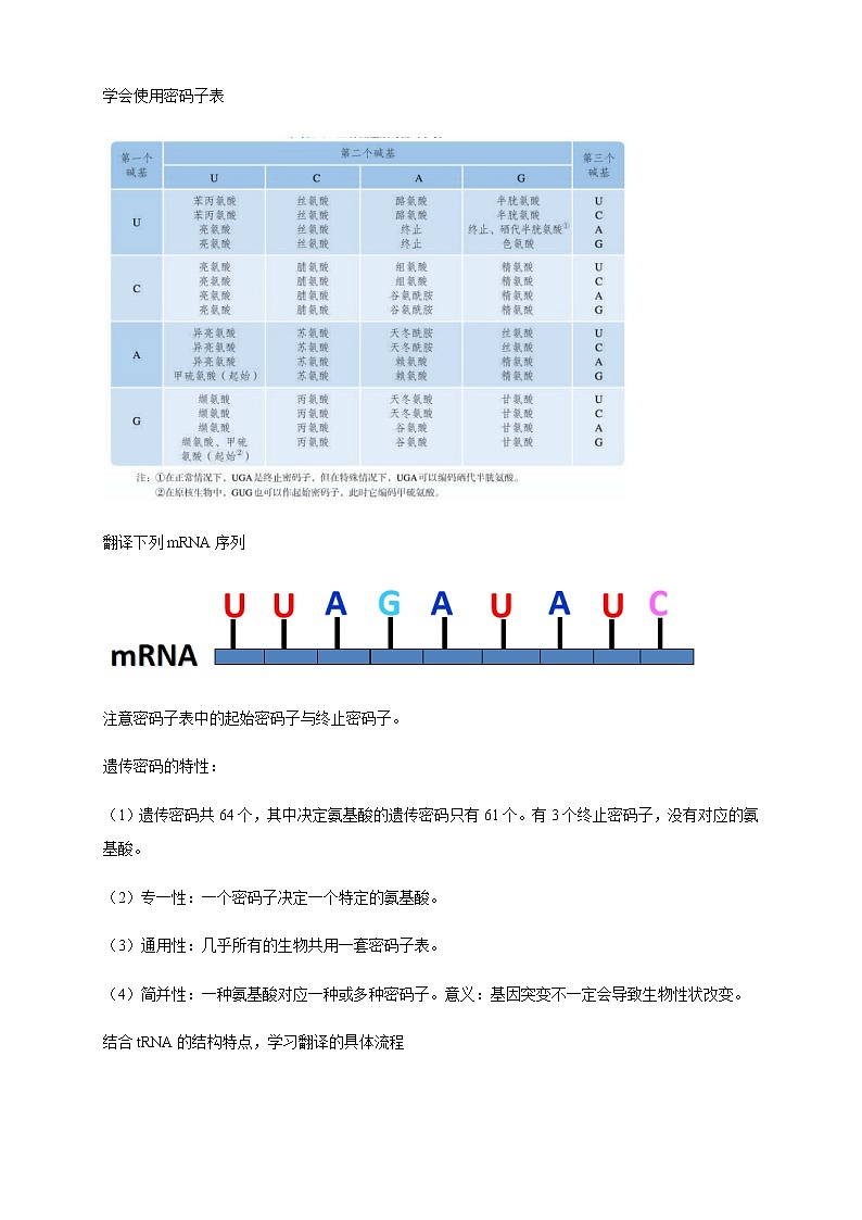 高中生物第二册 4 1 2 基因指导蛋白质的合成 教学设计-遗传与进化第2页