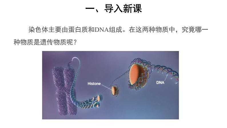 高中生物第二册 (教学课件)第1节 DNA是主要的遗传物质 示范课件第2页