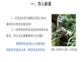 高中生物第二册 (教学课件)第1节 基因指导蛋白质的合成 第1课时 示范课件29