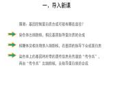 高中生物第二册 (教学课件)第1节 基因指导蛋白质的合成 第1课时 示范课件29