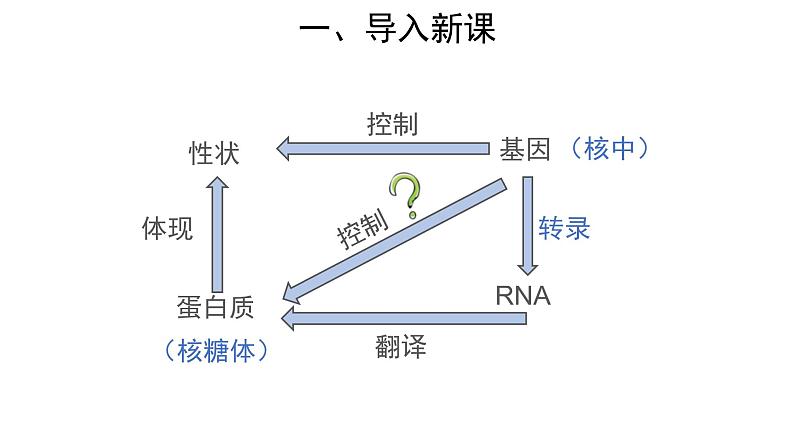 高中生物第二册 (教学课件)第1节 基因指导蛋白质的合成 第1课时 示范课件29第5页