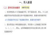 高中生物第二册 (教学课件)第1节 基因指导蛋白质的合成 第2课时 示范课件32