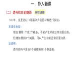 高中生物第二册 (教学课件)第1节 基因指导蛋白质的合成 第2课时 示范课件32