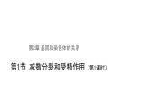 高中生物第二册 (教学课件)第1节 减数分裂和受精作用 第1课时 示范课件49