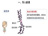 高中生物第二册 (教学课件)第1节 减数分裂和受精作用 第1课时 示范课件49