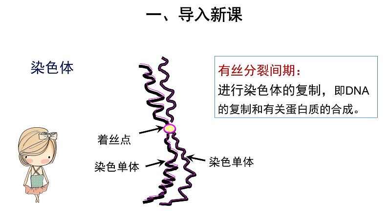 高中生物第二册 (教学课件)第1节 减数分裂和受精作用 第1课时 示范课件4902