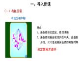 高中生物第二册 (教学课件)第1节 减数分裂和受精作用 第1课时 示范课件49