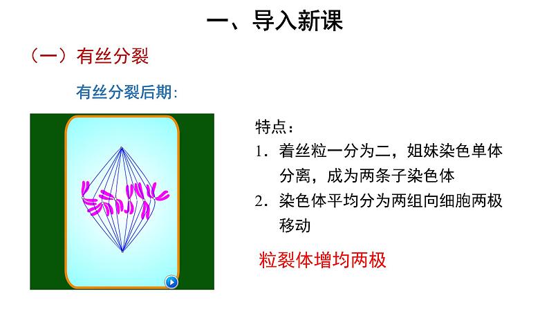 高中生物第二册 (教学课件)第1节 减数分裂和受精作用 第1课时 示范课件4905