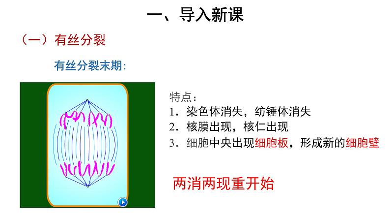 高中生物第二册 (教学课件)第1节 减数分裂和受精作用 第1课时 示范课件4906