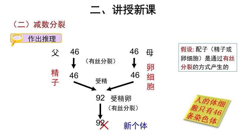 高中生物第二册 (教学课件)第1节 减数分裂和受精作用 第1课时 示范课件4908