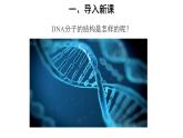 高中生物第二册 (教学课件)第2节 DNA的结构 第2课时 示范课件