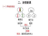 高中生物第二册 (教学课件)第2节 基因在染色体上 示范课件27