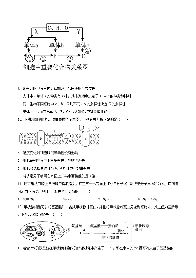 高中生物第一册 精品解析云南省昆明市衡水实验中学西山学校2020-2021学年期末生物试题（无答案）03