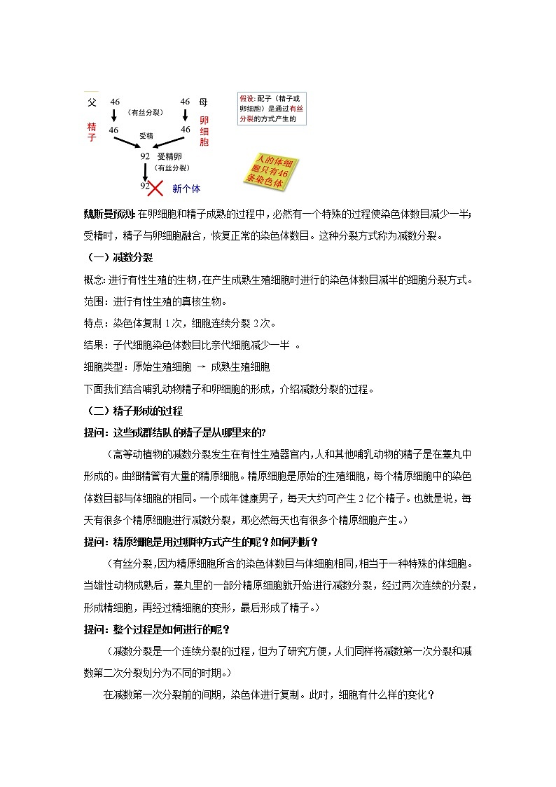 高中生物第二册 (教学方案)第1节 减数分裂和受精作用 第1课时 示范教案02