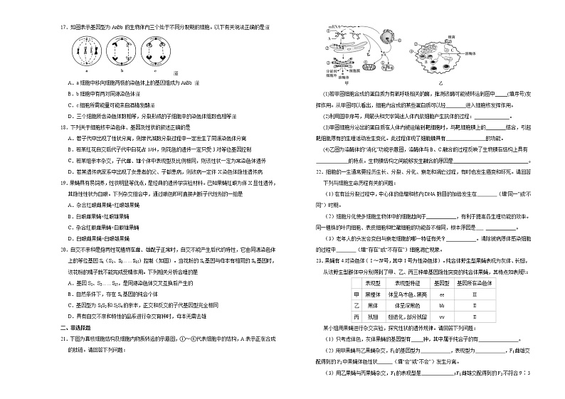 高中生物第二册 （新教材）2020-2021学年下学期高一第一次月考卷 生物（A卷）(无答案)第3页