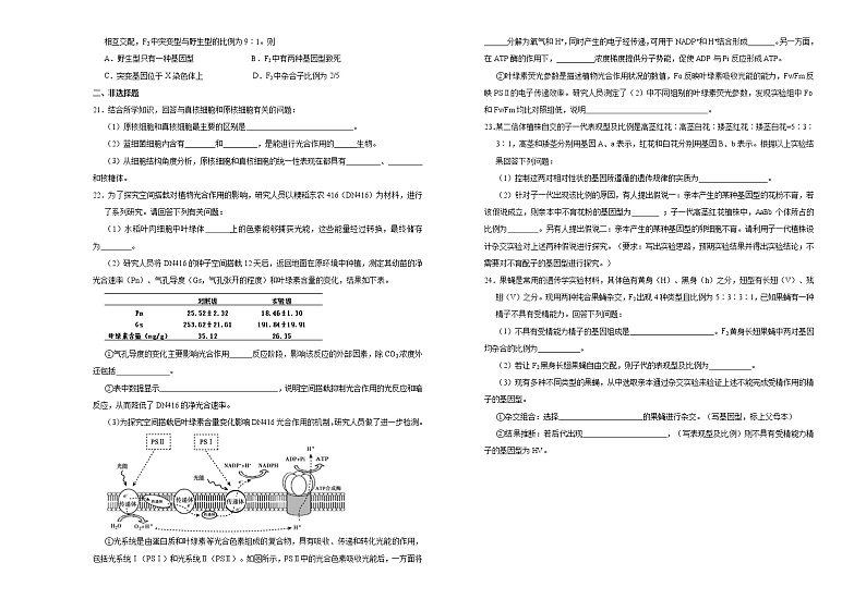 高中生物第二册 （新教材）2020-2021学年下学期高一第一次月考卷 生物（B卷）(无答案)第3页