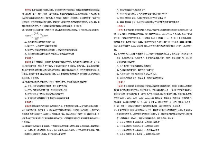 高中生物第二册 （新教材）2020-2021学年下学期高一第一次月考卷 生物（B卷）含答案第3页