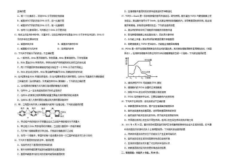高中生物第二册 （新教材）2020-2021学年下学期高一期末备考金卷 生物 (无答案)第2页