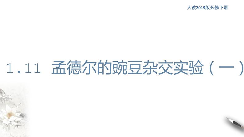 高中生物第二册 1 1 1 孟德尔的豌豆杂交实验（一） 课件-遗传与进化第1页