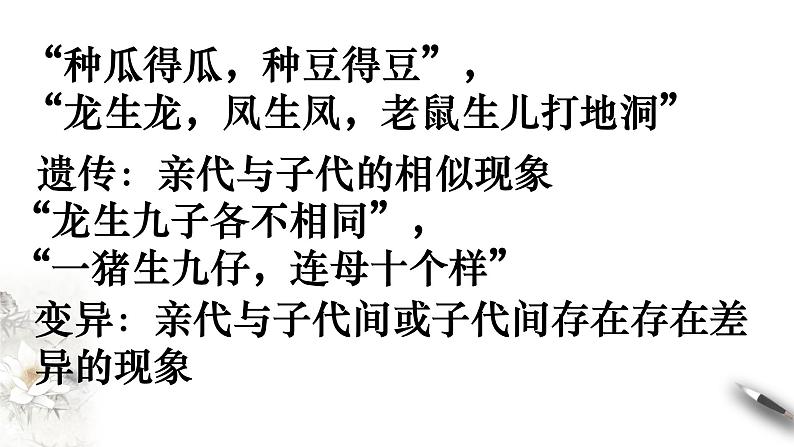 高中生物第二册 1 1 1 孟德尔的豌豆杂交实验（一） 课件-遗传与进化第2页