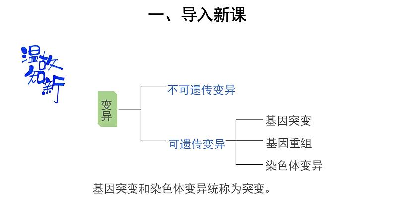 高中生物第二册 (教学课件)第3节 种群基因组成的变化与物种的形成 第2课时 示范课件03