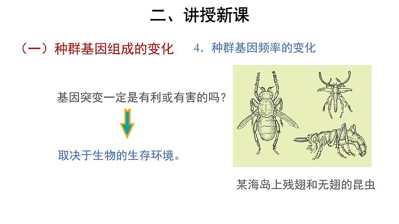 高中生物第二册 (教学课件)第3节 种群基因组成的变化与物种的形成 第2课时 示范课件06