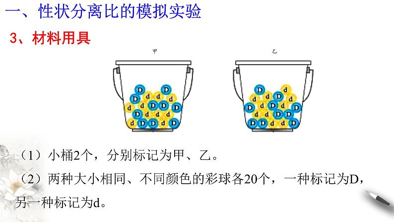 高中生物第二册 1 1 2 孟德尔的豌豆杂交实验（一） 课件-遗传与进化第4页