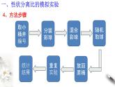 高中生物第二册 1 1 2 孟德尔的豌豆杂交实验（一） 课件-遗传与进化