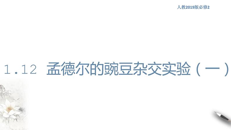 高中生物第二册 1 1 2 孟德尔的豌豆杂交实验（一） 课件-遗传与进化第1页