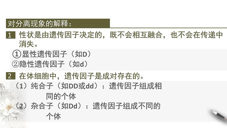 高中生物第二册 1 1 2 孟德尔的豌豆杂交实验（一） 课件-遗传与进化第3页