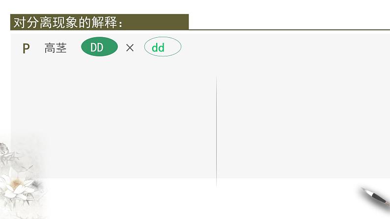 高中生物第二册 1 1 2 孟德尔的豌豆杂交实验（一） 课件-遗传与进化第5页